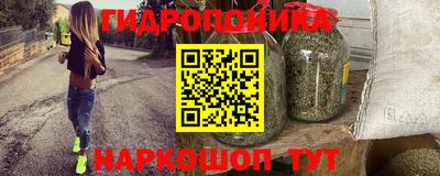 первитин Гусев
