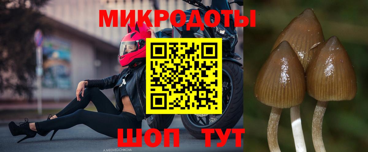 APVP Улан-Удэ